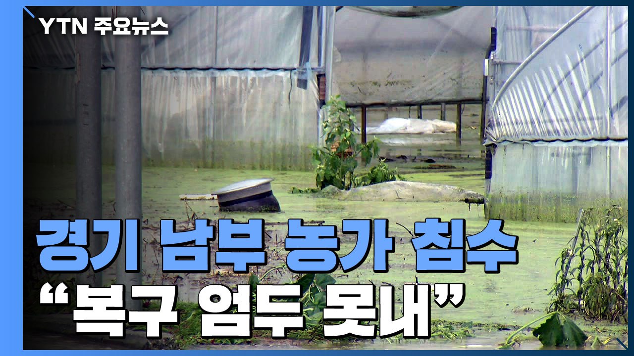 경기 남부 농가 침수..."최대 200mm 비에 복구 엄두 못내" / YTN