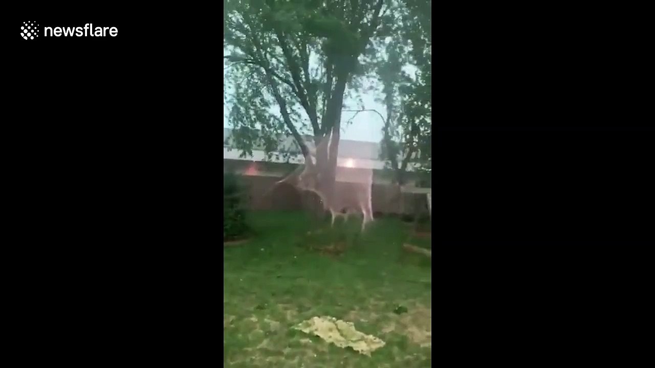 Destructive 'derecho' thunderstorm hits Iowa