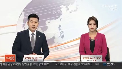 레바논 내각 총사퇴 발표…"폭발참사, 부패의 결과"