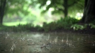 Water drops rain nature liquid