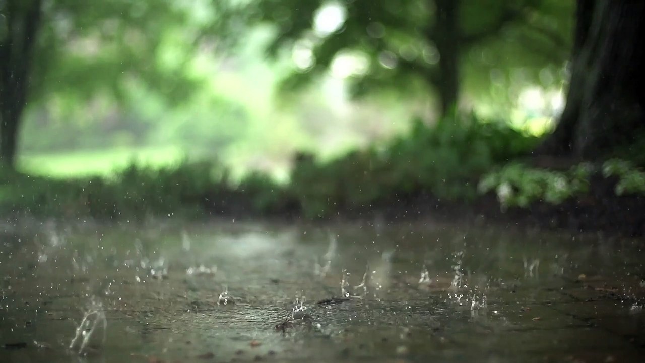 Water drops rain nature liquid