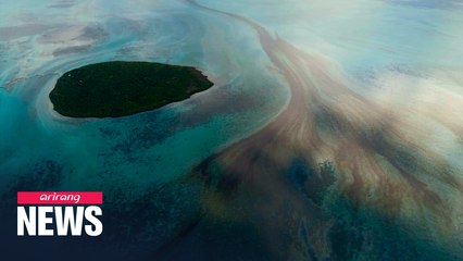 Mauritius PM office braces for "worst case scenario" over oil spill from stranded vessel