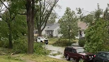 Neighborhood buried in debris by a derecho