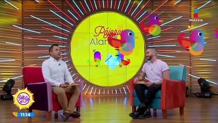 ¡Ana Bárbara abandona su casa porque estaba infestada de termitas!