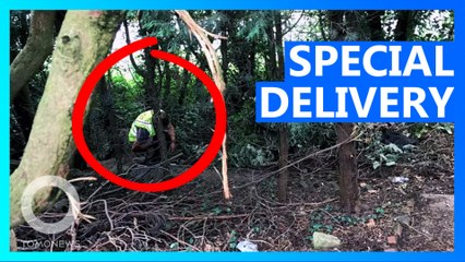 Amazon Delivery Driver Does a Poo in Woman's Garden