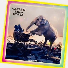 ganpati Bappa 4K status | new status | new video status