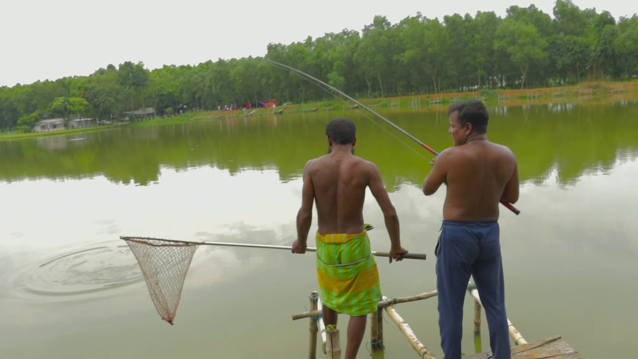 Best Fishing Videos | Catla Fish Hunting and Fishing  | Fishing in Village Pond