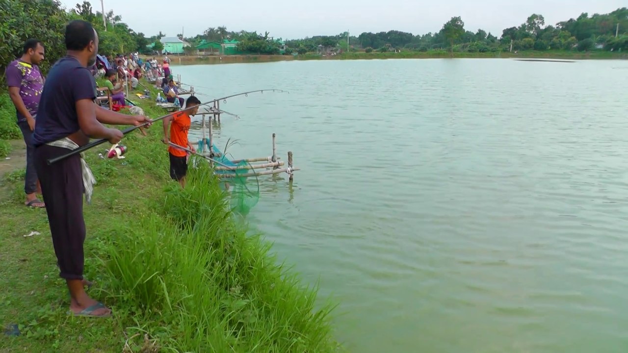 Catla Fishing Videos | Hunting and Fishing  | Fish Catching by Using Fishing Rod