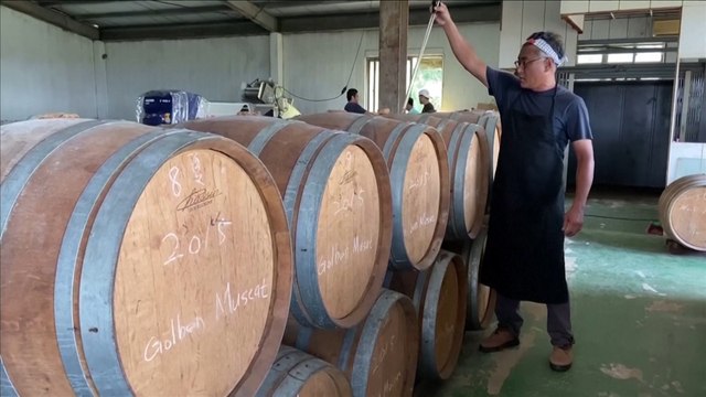 Taiwanese winemaker plans wine revolution with award-winning, home-grown wines