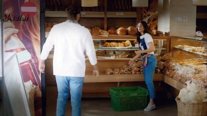 can't help falling in love