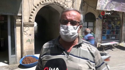 “ Kabbara” Suriye sınırındaki Kilis’e değer katıyor