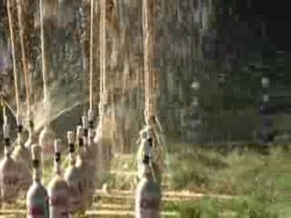 Diet Coke Mentos Experiments II