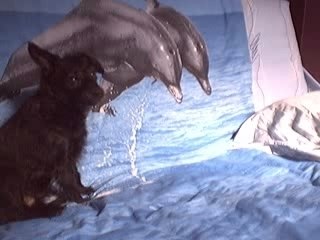 Nouchka qui fait la folle ^^