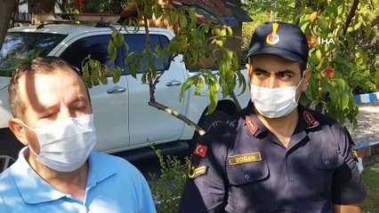 Manisa’da ilk kez görüldü yaralı halde bulundu