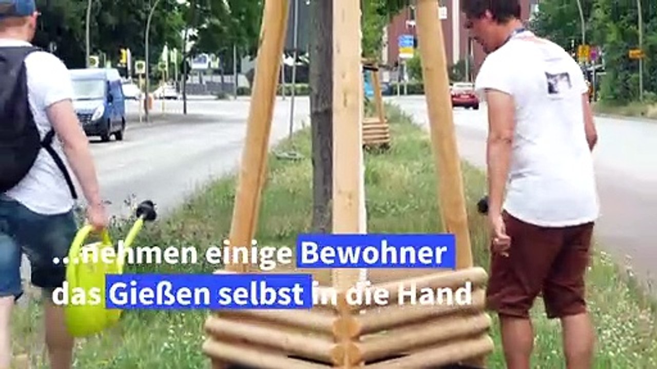 Durstige Stadtbäume: Berliner gießen ihre Kieze