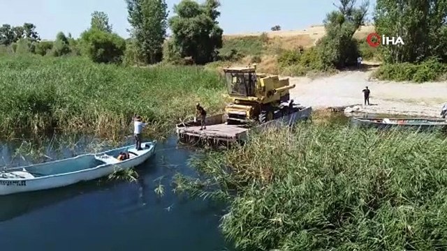 Beyşehir Gölü’nde yüzdürülerek adaya götürülen biçerdöverle hasat