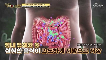 뚱보균 잡아 체중 감량에 도움 되는 ˹LGG유산균˼