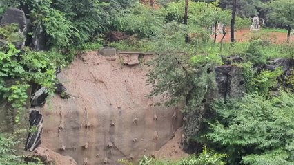 서울 미아동 아파트 단지 축대벽 붕괴..."폭우로 지반 약해져" / YTN