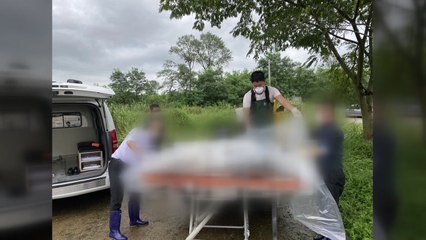 충남 서천 해안에서 변사체 발견...해경 "신원 파악 중" / YTN