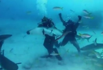 Mike Tyson köpek balığıyla ringe çıktı