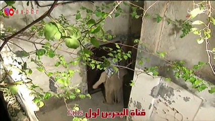 المسلسل البحريني سعدون | الحلقة 14 HD