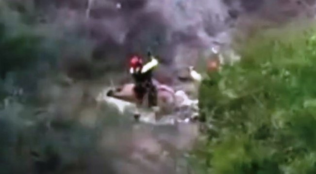 Mucca cade in un burrone salvata dai vigili del fuoco (11.08.20)