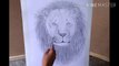 How to draw lion, wild animal lion, king of forest, jungle ka raja, world's most powerful animal