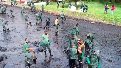 Miles de mauricianos tratan de proteger su isla del derrame de petróleo