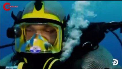 Köpek balığıyla ringe çıktı... İşte o müsabaka