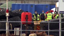 Migrants detained in Dover after boat stopped in Channel