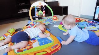 Funny twins baby | funny babies videos | fun and entertainment | fun with babies and cute babies videos