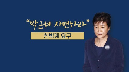 [뉴있저] "형 확정도 안됐는데?"...친박계 박근혜 사면 요구, 정치적 세몰이? / YTN