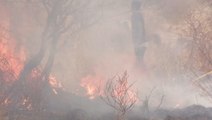 Wildfire rages through Kenya's largest national park