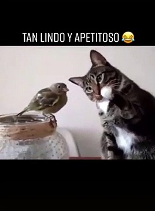 Apetitoso