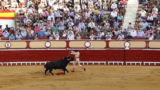 Ponce anuncia su vuelta al ruedo tras los rumores de boda con Ana Soria