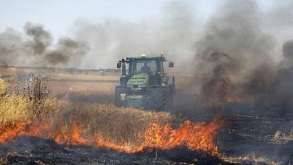 Pháp: Hỏa hoạn trên cánh đồng luôn "rình rập" | VTC