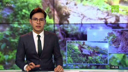 Sóc Trăng: 50 hộ dân "chênh vênh" trên bờ sạt lở | VTC