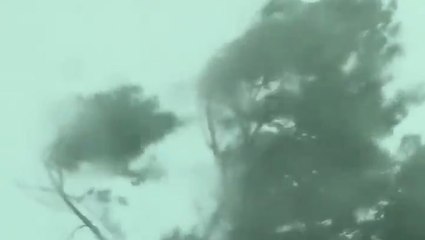 Destructive winds cause damage