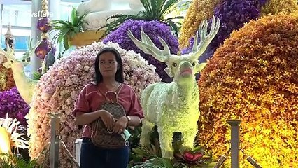 Mother's Day preparations underway to make Queen's birthday in Thailand