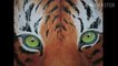 How to draw eyes of tiger, how to paint tiger eyes, pencil shading of tiger eyes, acryalic painting, oil colour painting, water colour painting, swecan
