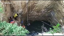Fire service and locals team up to rescue bull that fell into 60-foot-deep well in south India