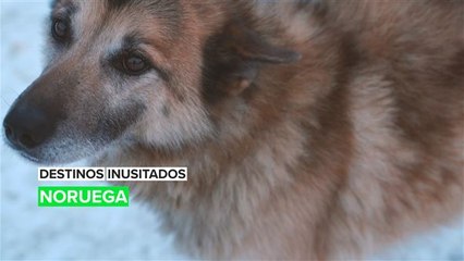 Destinos Inusitados: Noruega