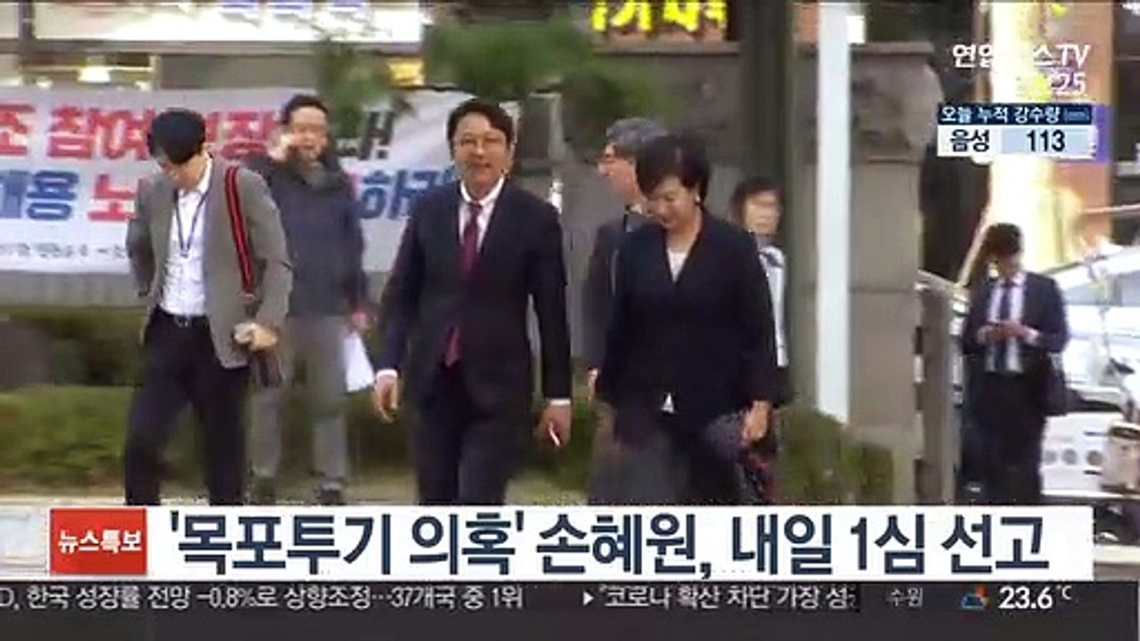 '목포투기 의혹' 손혜원, 내일 1심 선고