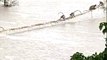50 monkeys stranded on trees in flooded river rescued in Karnataka