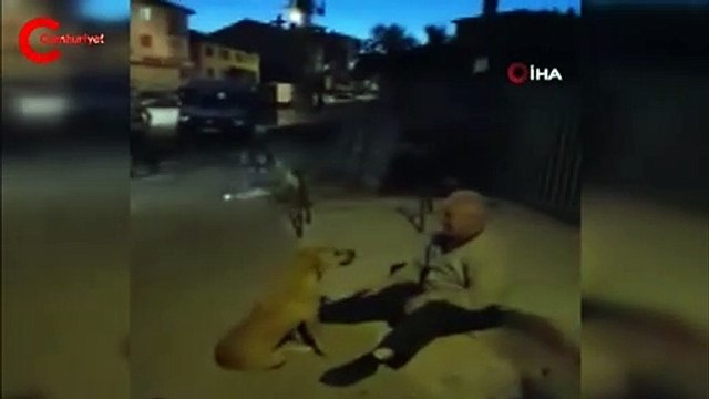 3 aydır kayıp olan köpeğiyle kavuşma anı kamerada
