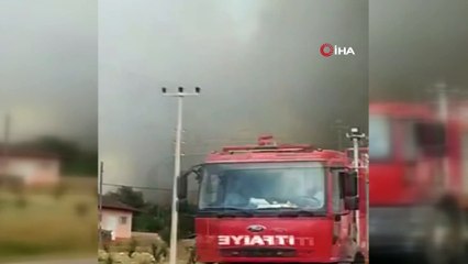 Sakarya’da ormanlık alanda çıkan yangında dumanlar gökyüzünü kapladı