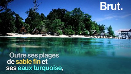 Trois spots de plongée incroyables