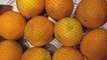 Lemons, Limes, Oranges, Potatoes Recalled in Several States Over Listeria Concerns