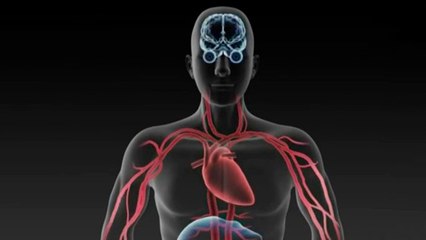 bd-alimentos-para-regular-presion-arterial-110820