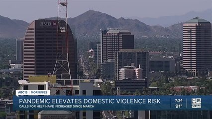 Pandemic elevates domestic violence risk